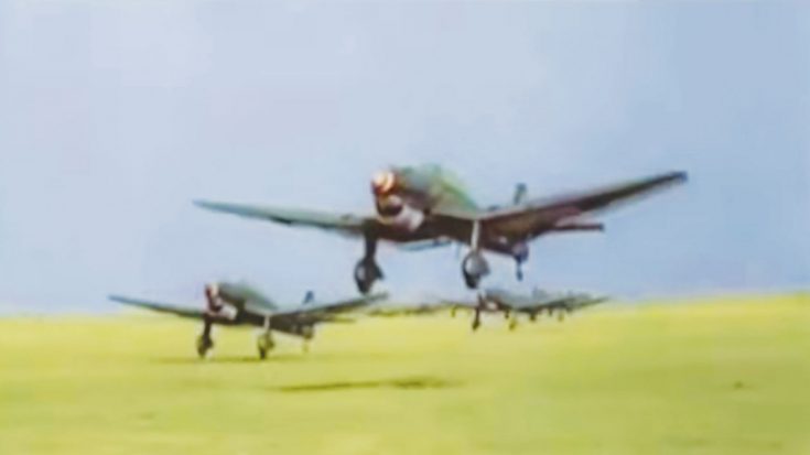 Footage Of The Luftwaffe During The War-In Color & HD | World War Wings Videos