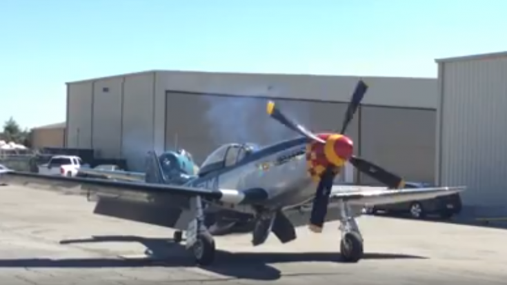 P-51 Mustang Startup Sounds Like a Beast | World War Wings Videos