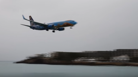 WestJet Boeing 737 Almost Crashed Into The Water At St. Maarten | World War Wings Videos