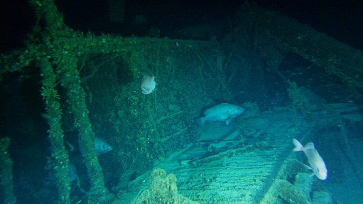 Expedition Into German U-Boat Off North Carolina Coast – 45 Bodies Still Trapped Inside | World War Wings Videos
