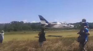 This Is Probably The Lowest And Slowest Albatross﻿ Flyby Ever-10 Feet Off The Ground
