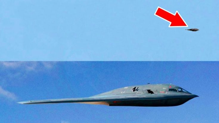 The Magic Behind B-2’s Radar Signature Being That Of  A Bird | World War Wings Videos