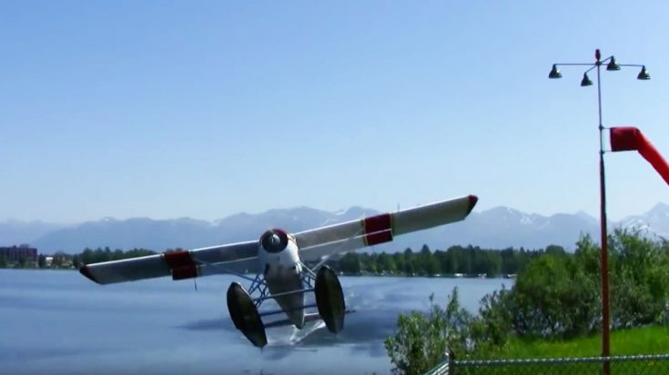 Beaver Crashes Within Feet Of Cameraman | World War Wings Videos