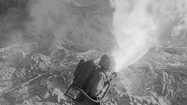 This Man Earned The Medal Of Honor In WWII Using Only A Flamethrower | World War Wings Videos