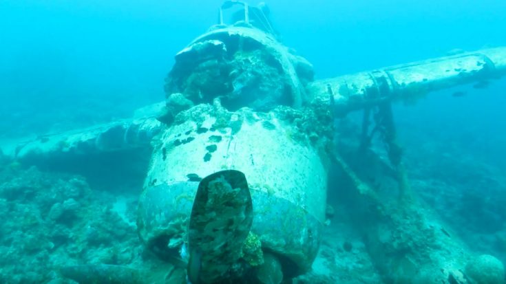 Here’s A Rare Look At A WWII Aichi E13A That Went Down In Palau | World War Wings Videos