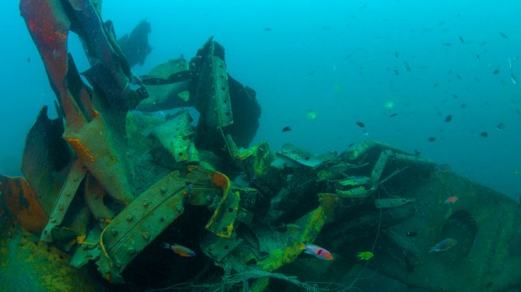 Shipwreck Scavengers Stole Bodies Of WWII Sailors And Threw Them Into Mass Grave | World War Wings Videos