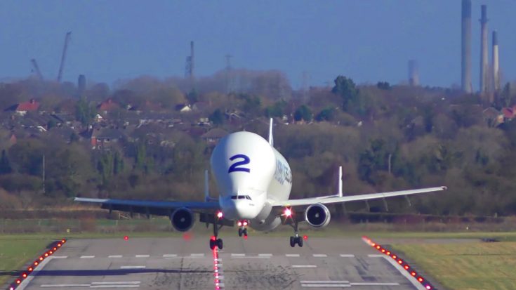 Tremendous Beluga Jet Barely Scrapes By In Risky Crosswind Landing | World War Wings Videos