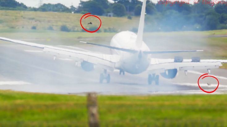 A Plane Just Made An Emergency Landing As Debris Exploded From Main Gear | World War Wings Videos