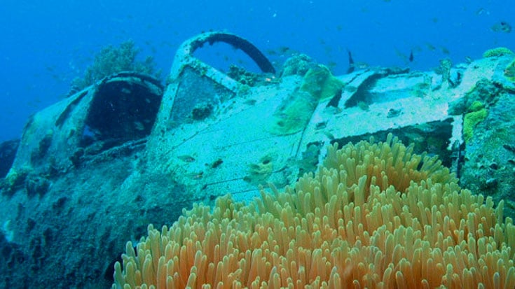 Diver Uncovers Warbird Wreck – Then Restricted From Returning To The Aircraft | World War Wings Videos