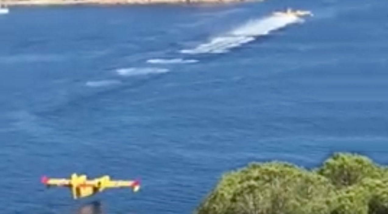 Watch These Scoopers Scoop In The Gentlest Way You've Ever Seen World