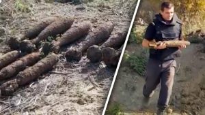 Construction Crews Accidentally Uncover Massive WWII Bomb Stockpile