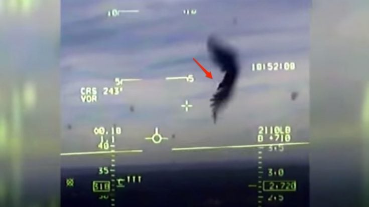 What Happens When A Vulture Hits A Plane That’s Going 400MPH – Actual Footage | World War Wings Videos