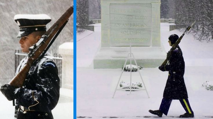 Even In Sub-Zero Temps, The Guards At The Tomb Of The Unknowns Aren’t Fazed | World War Wings Videos