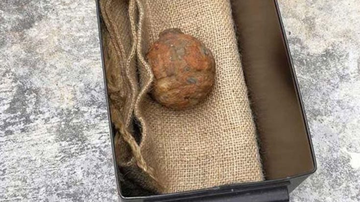 WWI Grenade In ‘Unstable Condition’ Was Just Accidentally Shipped As Potato | World War Wings Videos