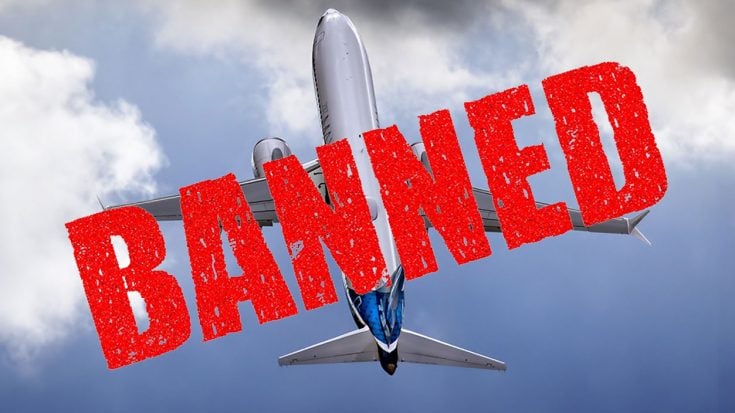 U.K. Bans Boeing’s Newly Delivered Aircraft In Light Of Recent Crashes | World War Wings Videos