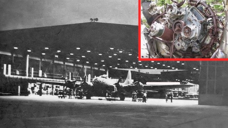 This U.S. Hike To A 1943 B-17 Crash Site Is Worth The Blisters | World War Wings Videos