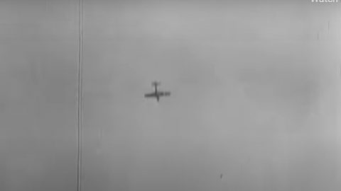P-51 Mustang shot down by 20mm Flak in 1944 | World War Wings Videos