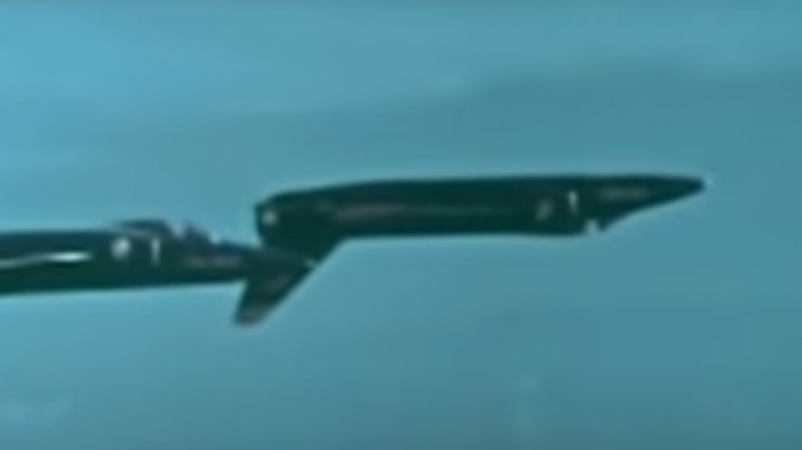 Blue Angels Grumman F-11F Tigers – “Paris Air Show” | World War Wings Videos