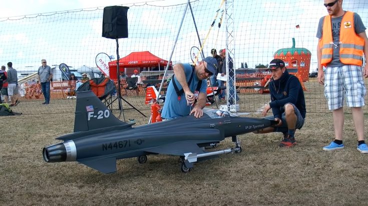 Big RC F-20 Tigershark Scale Model Could Really Fly | World War Wings Videos