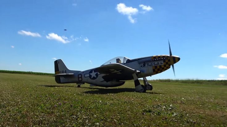 RC Mustang Sounds Mean and Like a Beast | World War Wings Videos