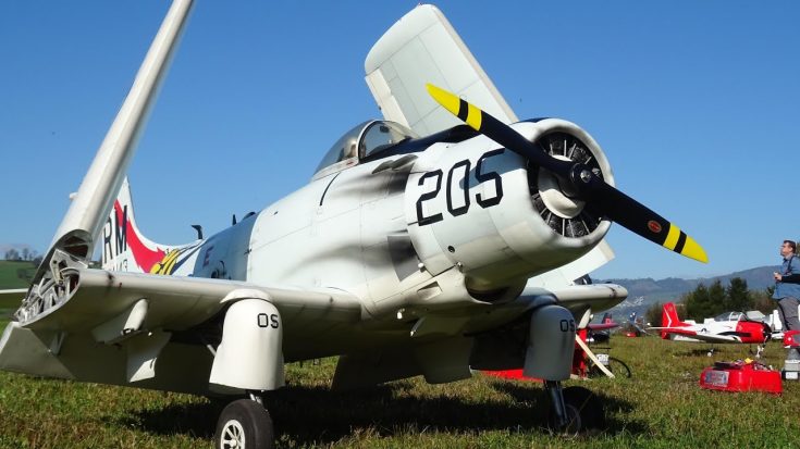 Large RC Skyraider – Wings Fold And Everything | World War Wings Videos