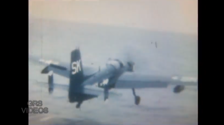 Footage of the Grumman AF Guardian In Action | World War Wings Videos