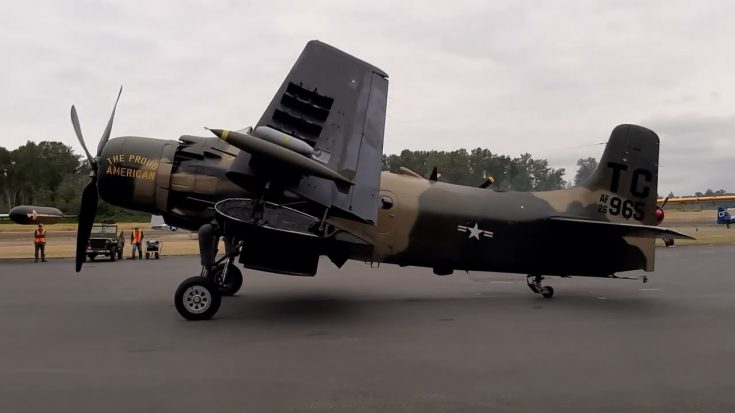THE DOUGLAS A-1 SKYRAIDER UP CLOSE | World War Wings Videos