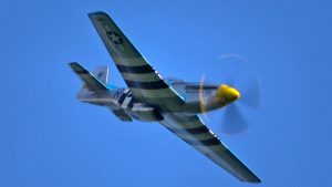 Incredible P-51 Footage- Gorgeous Plane