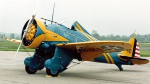 Juicy Cold Start WW2 FIGHTER AIRPLANE Engines and Loud Sound