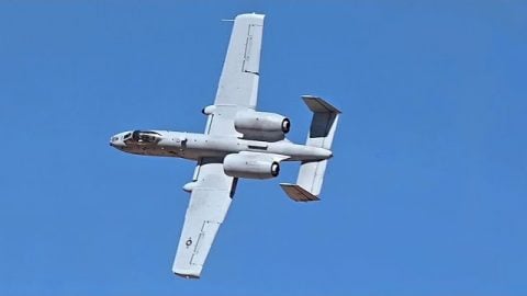 A-10 Warthogs Go BRRRRT! • Live Fire Exercise | World War Wings Videos