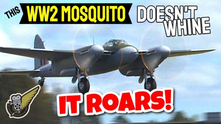 Low-Level Mosquito FB.26 Flybys | World War Wings Videos