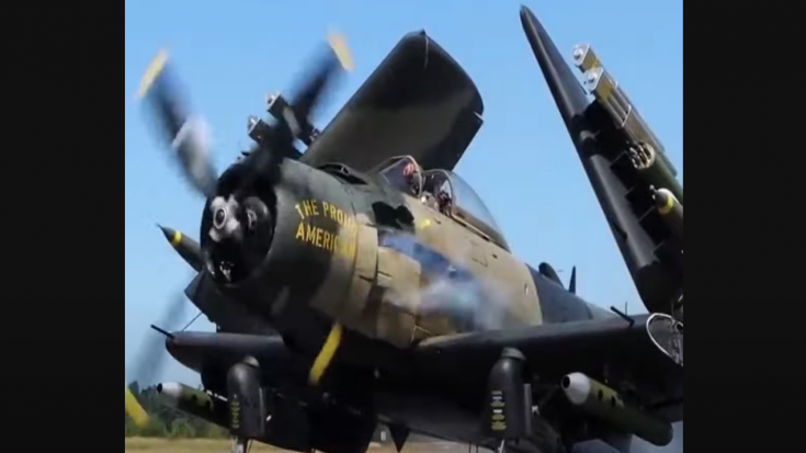 A-1 Skyraider Startup Sounds Beastly | World War Wings Videos