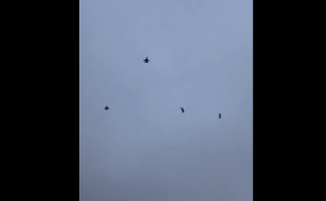 Several F-16s Swarm The Skies