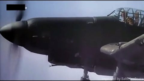 Rare WW2 Footage – Junkers Ju 87 “Stuka” – No Music, Pure Sound | World War Wings Videos