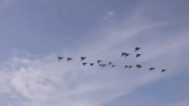 22 F-14 Tomcats Doing A Flyby | World War Wings Videos