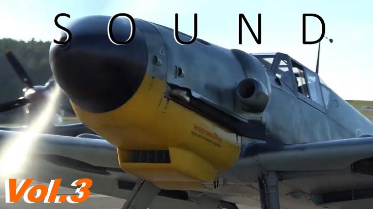WARBIRD ENGINE STARTS Vol.3 | World War Wings Videos