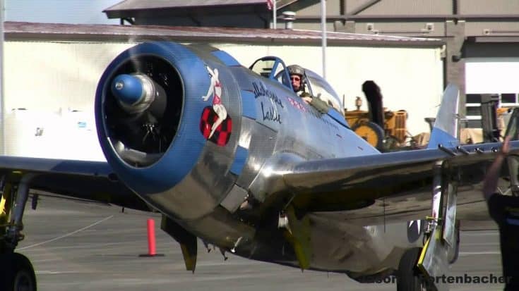 Ground Attack Day – P-47 Thunderbolt and A-1 Skyraider | World War Wings Videos