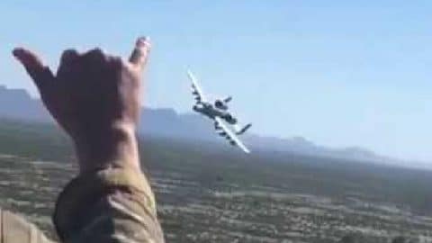 2 Warthogs Make Their Day | World War Wings Videos