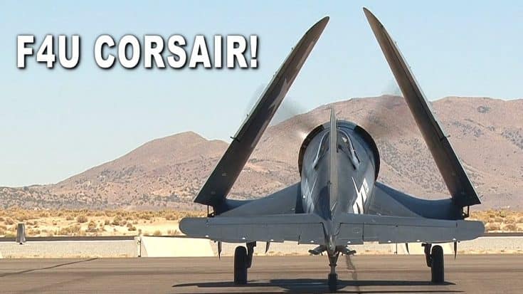 F4U CORSAIR! Startup, Wings Down & Takeoff. Spectacular Sound! | World War Wings Videos