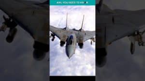 When An F-14 Tomcat Captured Concorde Mid-flight In 1990