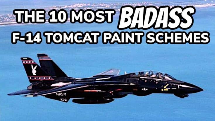 The 10 Most Badass F-14 Tomcat Paint Schemes | World War Wings Videos