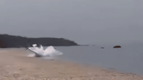 Beechcraft Engine Failure Ends In Successful Beach Landing | World War Wings Videos