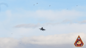 Fighter Pilots Avoid Bird Strike