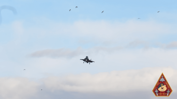 Fighter Pilots Avoid Bird Strike | World War Wings Videos