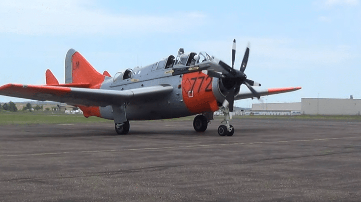 Last Flying Fairey Gannet Takes Off In Style! | World War Wings Videos