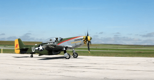 P-51D Mustang “Gunfighter” Sounds Unreal