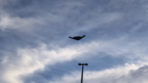 B-2 Performs Fly-Over During Rose Parade