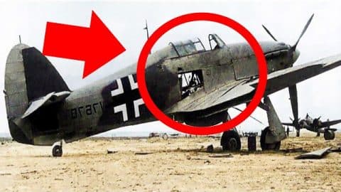 The Dumbest Trap of WW2 | World War Wings Videos