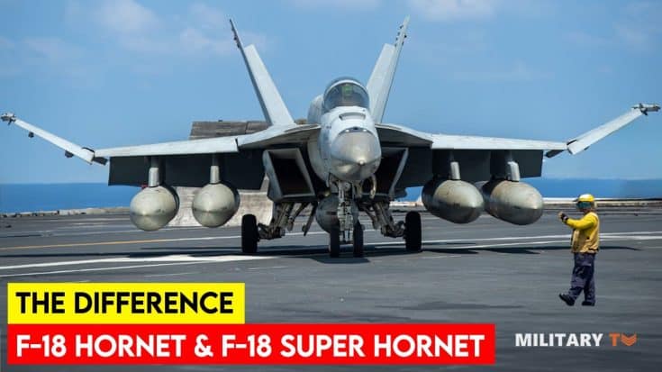 The Key Differences Between The Hornet And Super Hornet | World War Wings Videos