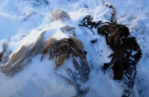 The Story of the WW2 Airman Found Frozen in Sierra Nevada